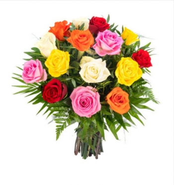 Roses all colors Mirella Syria